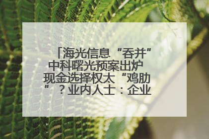 海光信息“吞并”中科曙光预案出炉 现金选择权太“鸡肋”？业内人士：企业不想大量现金流出