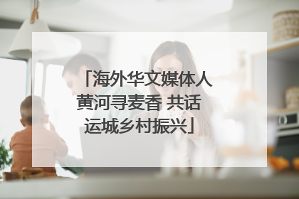 海外华文媒体人黄河寻麦香 共话运城乡村振兴