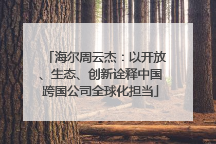 海尔周云杰：以开放、生态、创新诠释中国跨国公司全球化担当