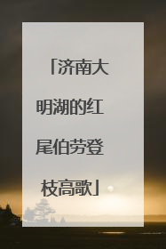 济南大明湖的红尾伯劳登枝高歌