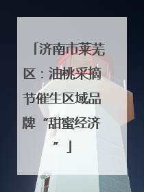 济南市莱芜区：油桃采摘节催生区域品牌“甜蜜经济”