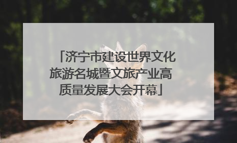 济宁市建设世界文化旅游名城暨文旅产业高质量发展大会开幕
