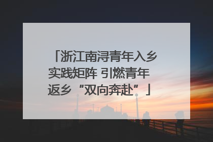 浙江南浔青年入乡实践矩阵 引燃青年返乡“双向奔赴”