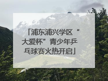 浦东浦兴学区“大爱杯”青少年乒乓球赛火热开启