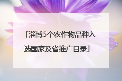 淄博5个农作物品种入选国家及省推广目录