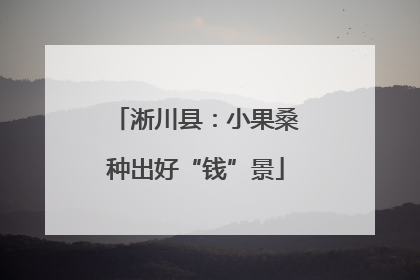 淅川县：小果桑种出好“钱”景