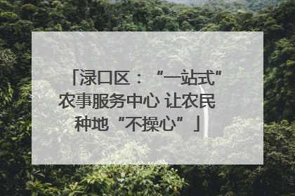 渌口区：“一站式”农事服务中心 让农民种地“不操心”
