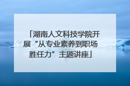 湖南人文科技学院开展“从专业素养到职场胜任力”主题讲座