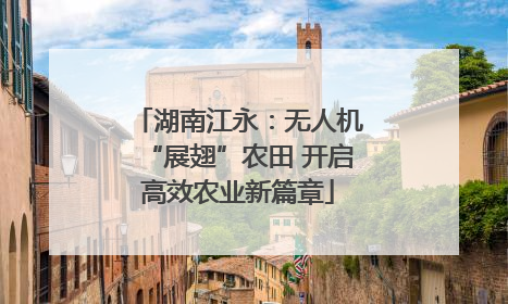湖南江永：无人机“展翅”农田 开启高效农业新篇章