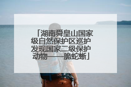 湖南舜皇山国家级自然保护区巡护发现国家二级保护动物——脆蛇蜥