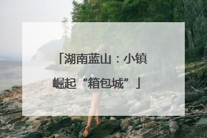 湖南蓝山：小镇崛起“箱包城”