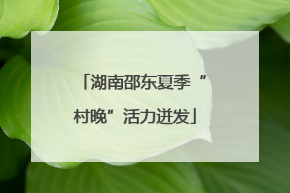湖南邵东夏季“村晚”活力迸发