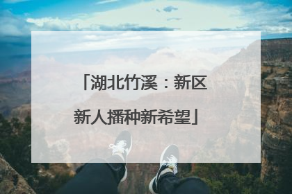 湖北竹溪：新区新人播种新希望