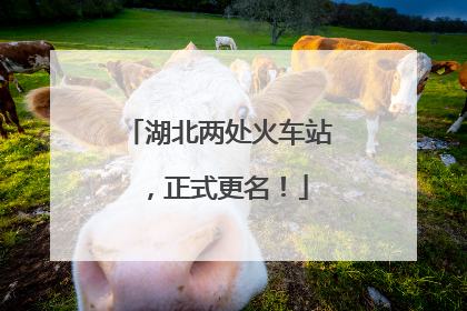 湖北两处火车站，正式更名！