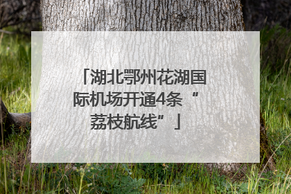 湖北鄂州花湖国际机场开通4条“荔枝航线”