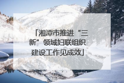 湘潭市推进“三新”领域妇联组织建设工作见成效