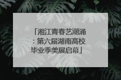 湘江青春艺潮涌：第六届湖南高校毕业季美展启幕