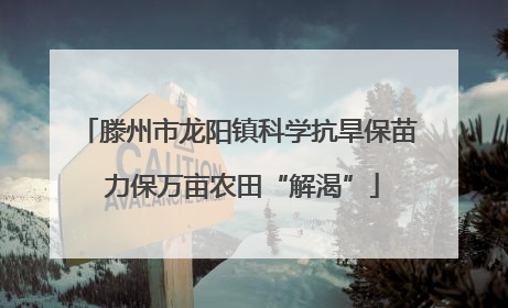 滕州市龙阳镇科学抗旱保苗 力保万亩农田“解渴”