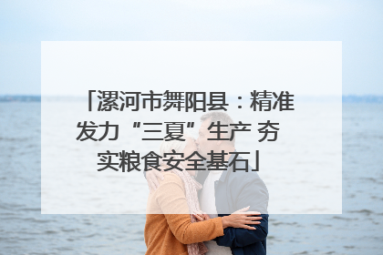 漯河市舞阳县：精准发力“三夏”生产 夯实粮食安全基石