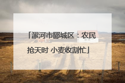 漯河市郾城区：农民抢天时 小麦收割忙