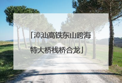 漳汕高铁东山跨海特大桥栈桥合龙