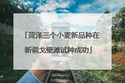 菏泽三个小麦新品种在新疆戈壁滩试种成功