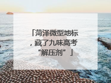 菏泽微型地标，藏了九味高考“解压剂”