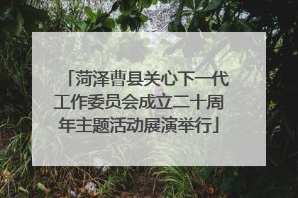 菏泽曹县关心下一代工作委员会成立二十周年主题活动展演举行