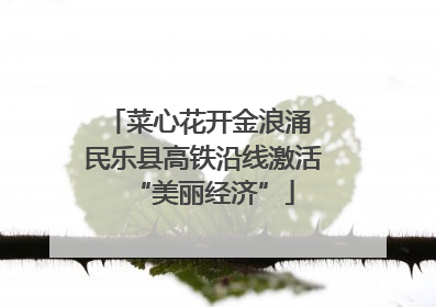 菜心花开金浪涌 民乐县高铁沿线激活“美丽经济”