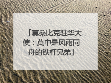 莫桑比克驻华大使：莫中是风雨同舟的铁杆兄弟