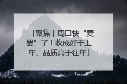 聚焦丨周口快“麦罢”了！收成好于上年、品质高于往年