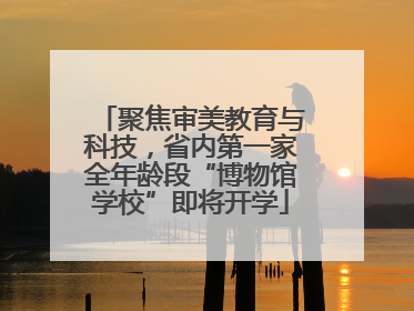 聚焦审美教育与科技，省内第一家全年龄段“博物馆学校”即将开学