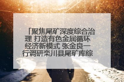 聚焦尾矿深度综合治理 打造有色金属循环经济新模式 张金良一行调研栾川县尾矿库综合治理工作