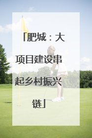 肥城：大项目建设串起乡村振兴链