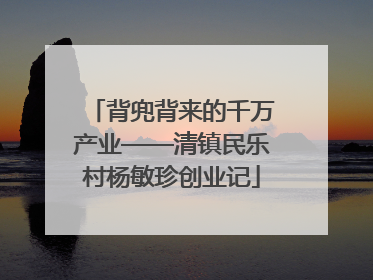 背兜背来的千万产业——清镇民乐村杨敏珍创业记