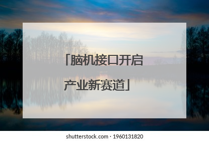 脑机接口开启产业新赛道