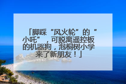 脚踩“风火轮”的“小吒”，可脱离遥控板的机器狗，泡桐树小学来了新朋友！