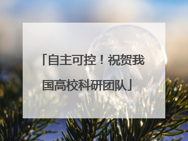自主可控！祝贺我国高校科研团队