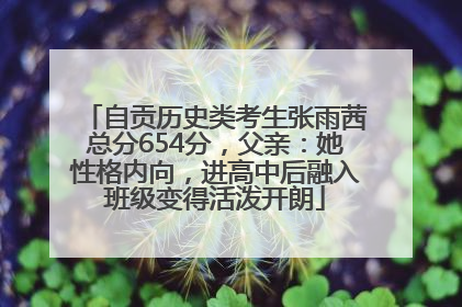 自贡历史类考生张雨茜总分654分，父亲：她性格内向，进高中后融入班级变得活泼开朗