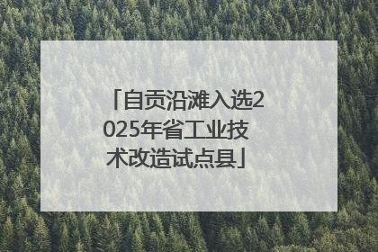 自贡沿滩入选2025年省工业技术改造试点县