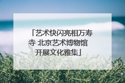 艺术快闪亮相万寿寺 北京艺术博物馆开展文化雅集