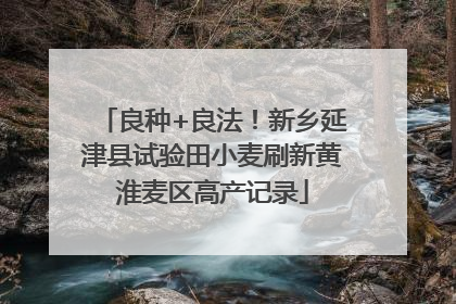 良种+良法！新乡延津县试验田小麦刷新黄淮麦区高产记录