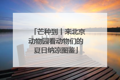 芒种到丨来北京动物园看动物们的夏日纳凉图鉴