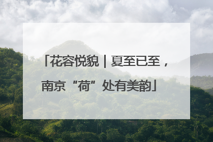 花容悦貌｜夏至已至，南京“荷”处有美韵