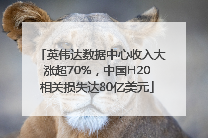 英伟达数据中心收入大涨超70%，中国H20相关损失达80亿美元