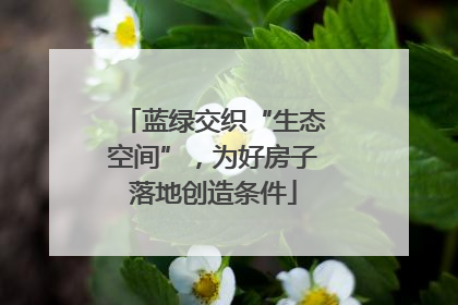 蓝绿交织“生态空间”，为好房子落地创造条件