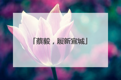 蔡毅，履新宣城