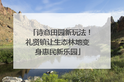 诗意田园新玩法！礼贤镇让生态林地变身惠民新乐园