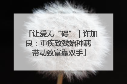 让爱无“碍”｜许加良：重疾致残始种藕 带动致富靠双手
