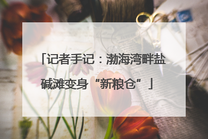 记者手记：渤海湾畔盐碱滩变身“新粮仓”